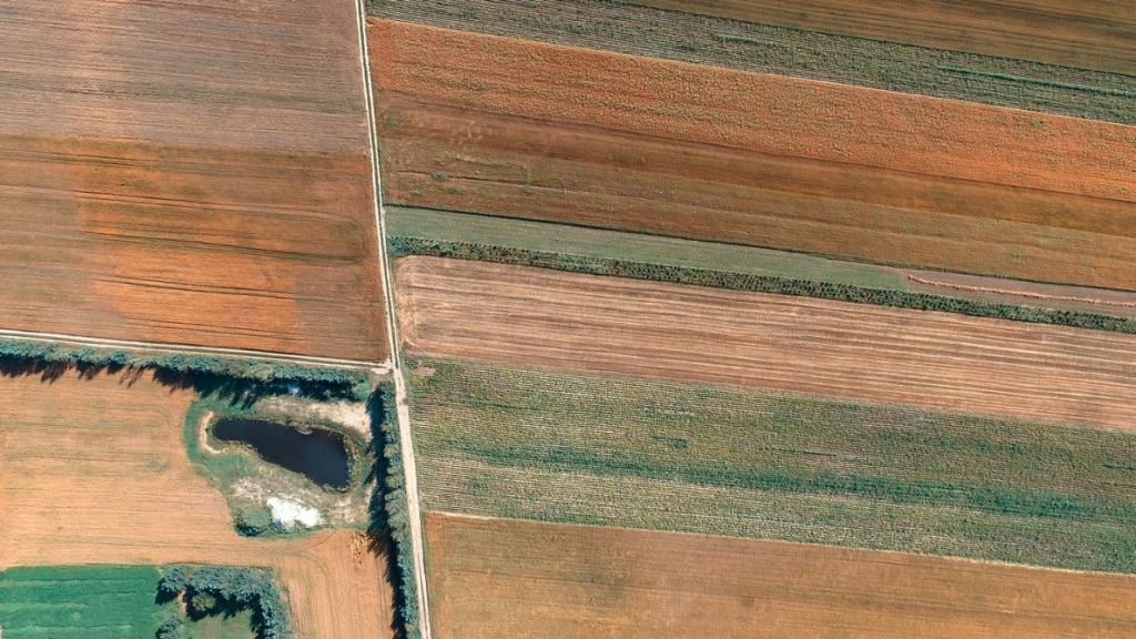 Autors: unsplash.com