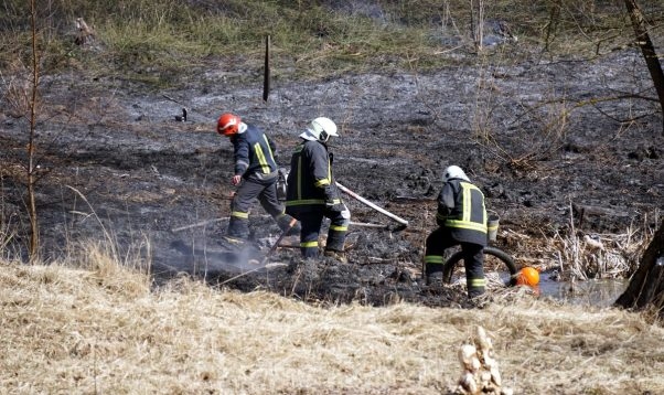 Autors: Valmieras Ziņas