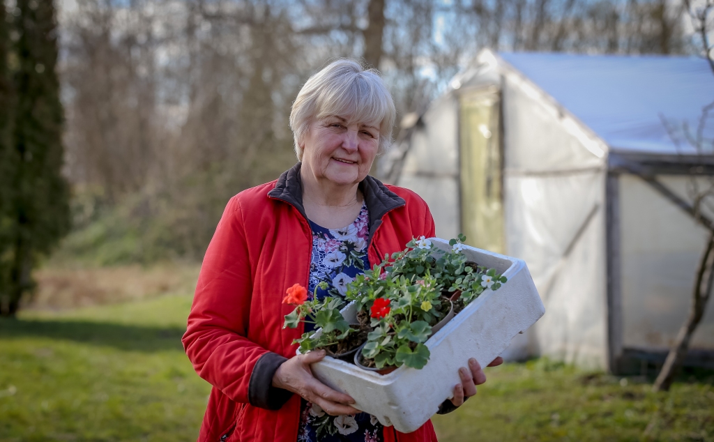 Blomēnietes Brigitas Savieles sirdslieta ir stādaudzēšana. Tāpat kā līdz šim, arī šopavasar iedzīvotājiem būs iespēja izvēlēties puķu stādus, seniore ir sarūpējusi arī vairākus jaunumus.                                                                             
Autors: SANTA SINKA