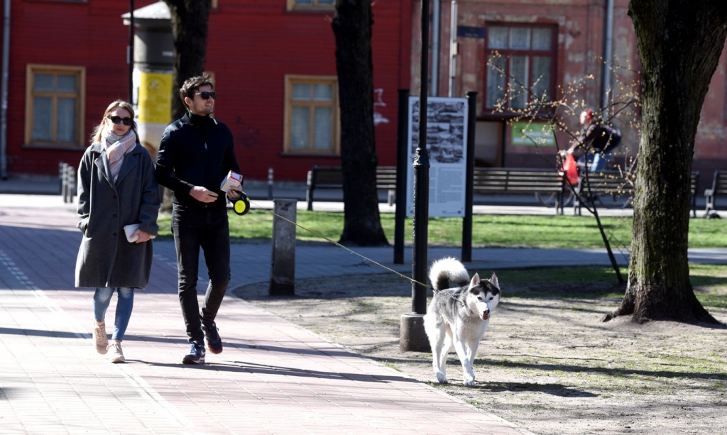 Cilvēki pastaigājas parkā, kad Latvijā izsludināta ārkārtējā situācija, kas paredz ievērot virkni ierobežojumus, lai ierobežotu Covid-19 vīrusa izplatību
Autors: Zane Bitere/LETA