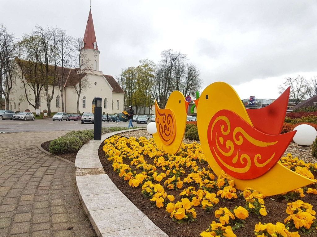 Smiltenes pilsētas centrā šopavasar krāšņi uzziedējušas atraitnītes. Tiklīdz pastāvīgi kļūs silts un no salnām nebūs ne miņas, notiks apstādījumu otrā kārtā.                                                                                                  
Autors:  SANTA SINKA