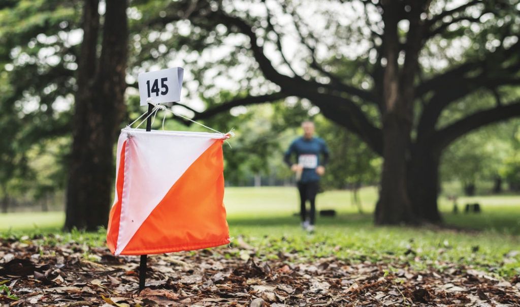 Autors: www.pepulse.com.au