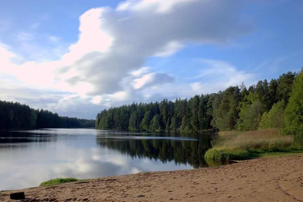 Autors: Aivars Viļumsons   