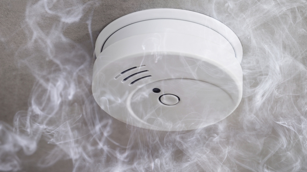 Autors: Shutterstock