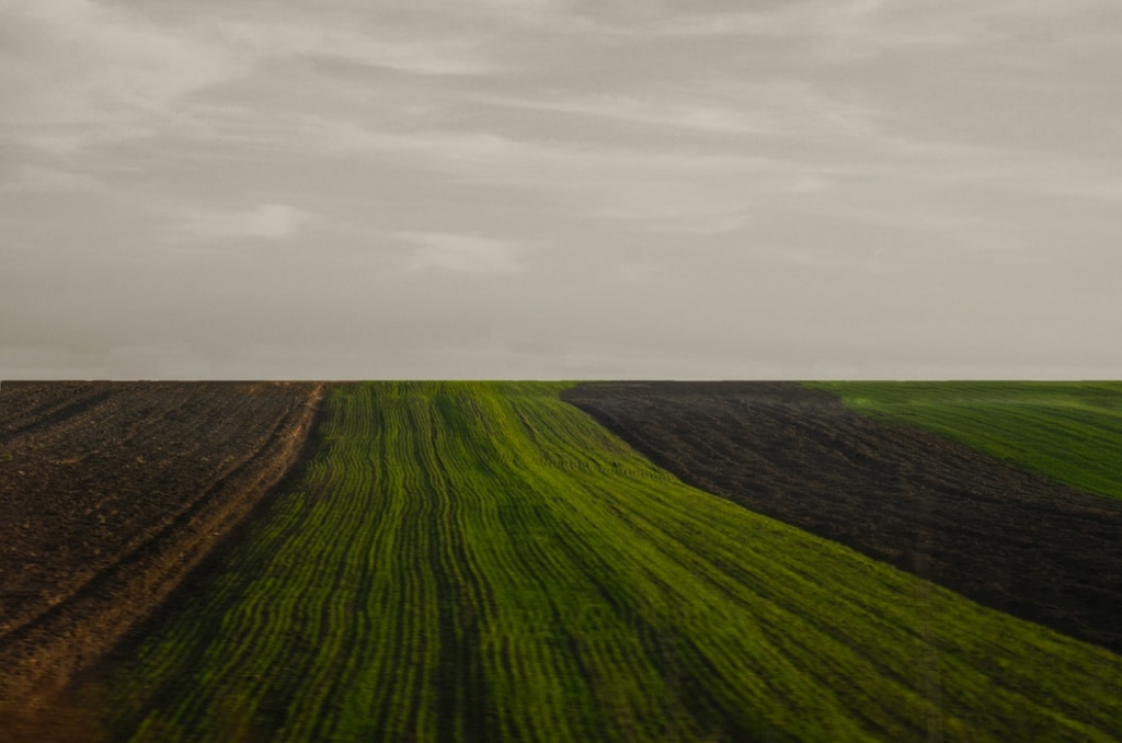 Autors: unsplash.com