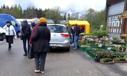 Aizvadītajā piektdienā atkal varēja novērot, kā igauņi izpērk Valkas veikalus. Kaimiņi iecienījusi lielveikalu “Walk”. Aculieciniece iesūtīja fotogrāfiju, kurā redzams, kā automašīna ar igauņu numura zīmi piebrauc pie stādu tirgotāja stāvlaukumā pie lielveikala “Walk”, no auto izkāp pircēji un netraucēti iepērkas.                         
Autors:  VINETA SKUTĀNE