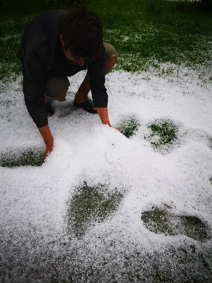 Aizvadītajā svētdienā zemnieku saimniecības “Kurģi” saime Ērģemes pagasta Omuļos piedzīvoja lielgraudu krusas uzbrukumu. Tā izsitusi caurumus nesen uzbūvētās āra tualetes jumtā. Māju saimnieki Kristaps un Laura krusu varējuši šķūrēt ar sniega lāpstu.                                                                                                              
Autors: NO PERSONĪGĀ ARHĪVA