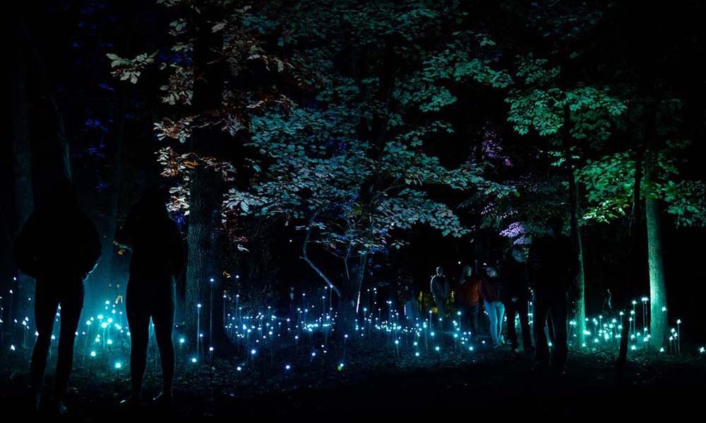 Autors: crystalbridges.org