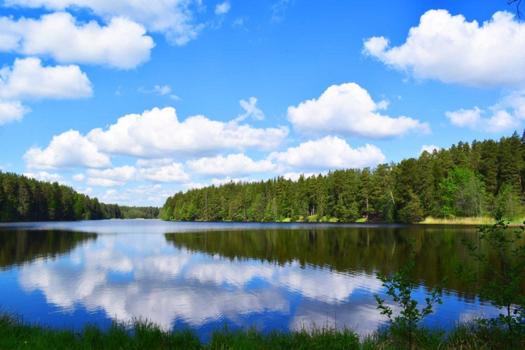 Autors: visitvalgavalka.com