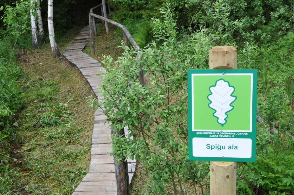 Šovasar “Ziemeļlatvija” pirmo reizi apskatīja Spiģu, tautā sauktu arī par Rūcekļa, alu. Nelielā ala Sedas upes labajā krastā izveidojusies Burtnieku svītas smilšakmens klintī. Lai gan ala atrodas jau Naukšēnu novada teritorijā, pie tās iespējams nokļūt, braucot caur Kārķiem.            
Autors: INGA KARPOVA