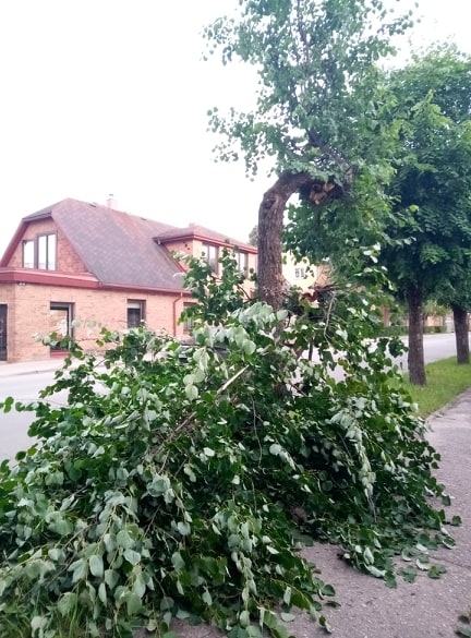 Aizvadītās sestdienas pēcpusdienā stiprais vējš Valkā, Rīgas ielā 30, iepretim privātmājai liepai nolauza varenu zaru.                          
Autors:  INGA KARPOVA