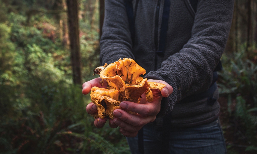 Autors: Benjamin Schedler/Stocksy.