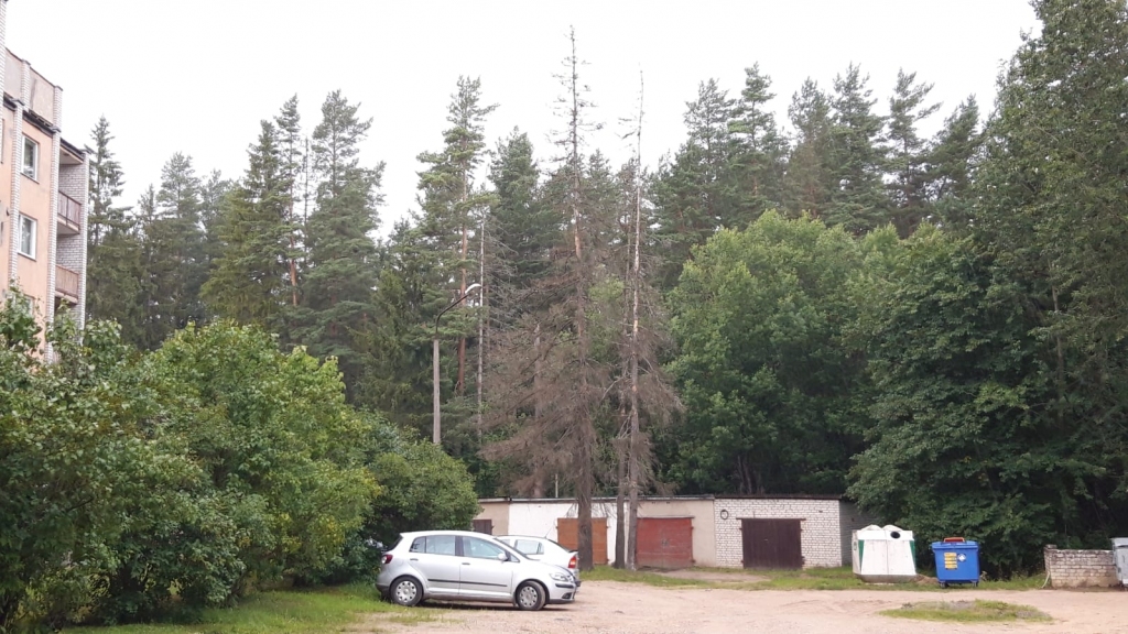 Autors: Gints Stālmeisters