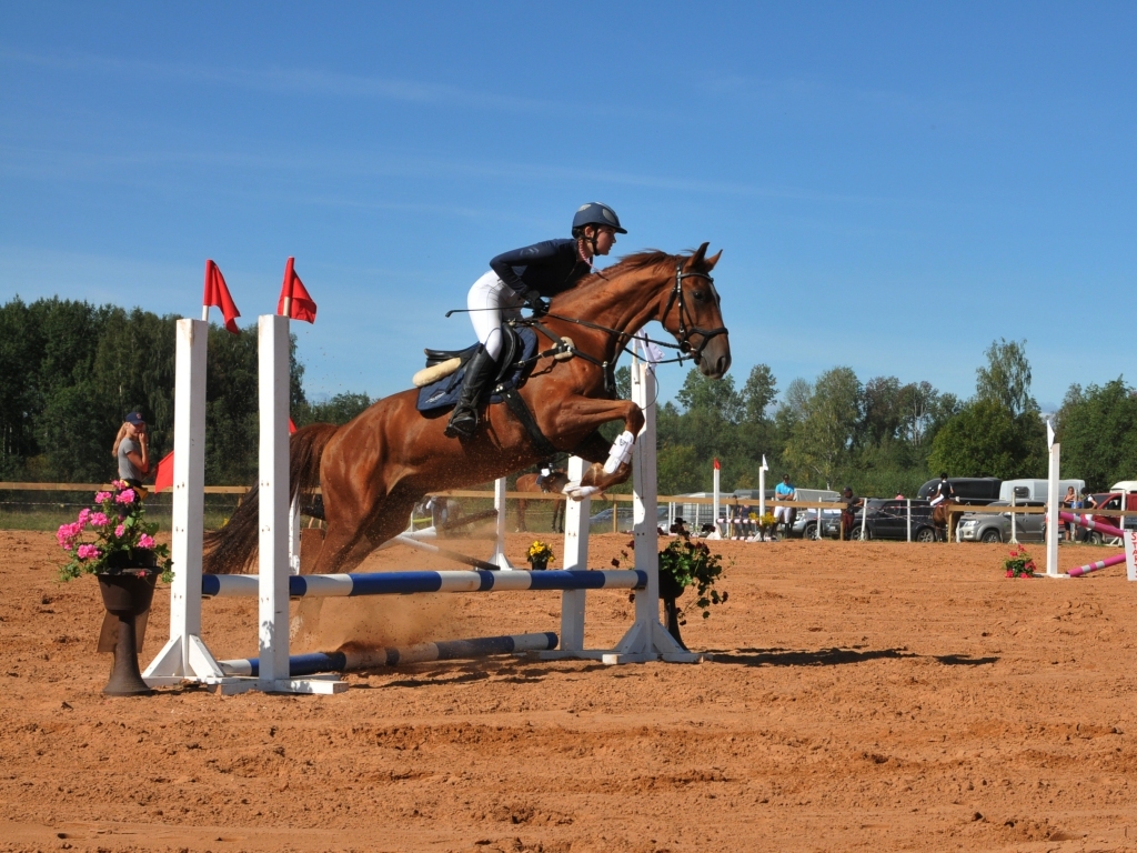 Autors: Ance Andrējeva-Empele