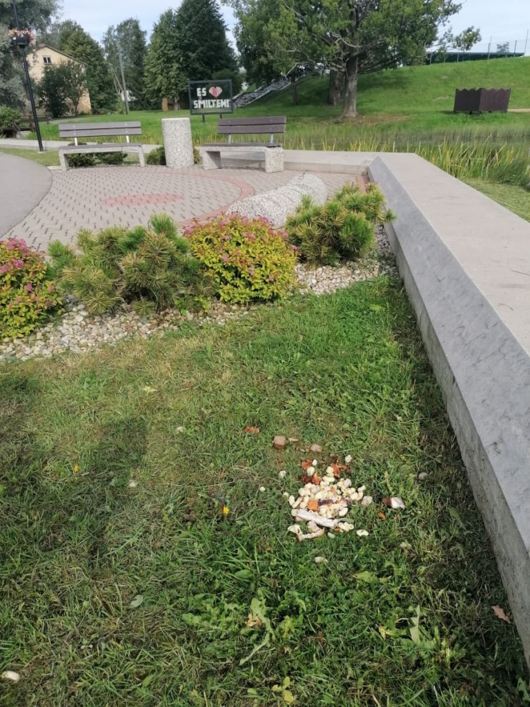 Šāds skats Tepera promenādes malā pēdējā laikā esot redzams bieži. Kāds šādi vēlas pabarot pīles, bet garāmgājējiem ēdiena atliekas atgādina vēmekļus.                                                                                                                               
Autors: ACULIECINIEKA FOTO
