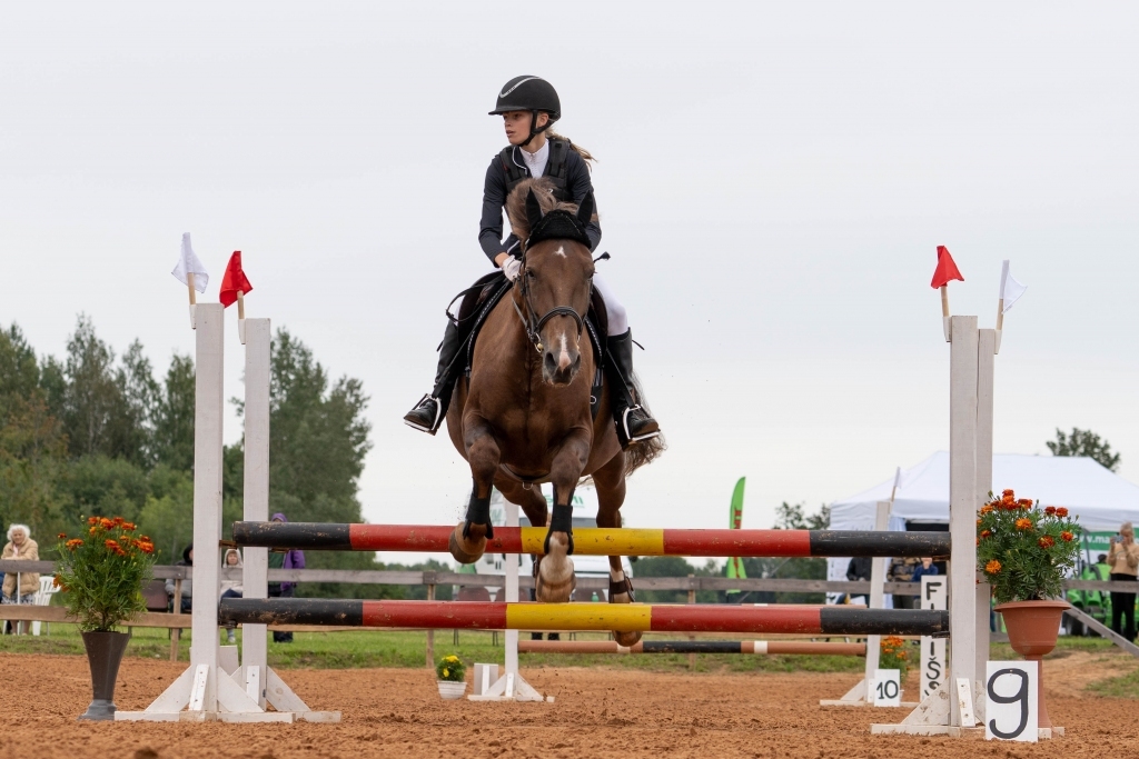 Autors:  ROBERTS JOHANSONS