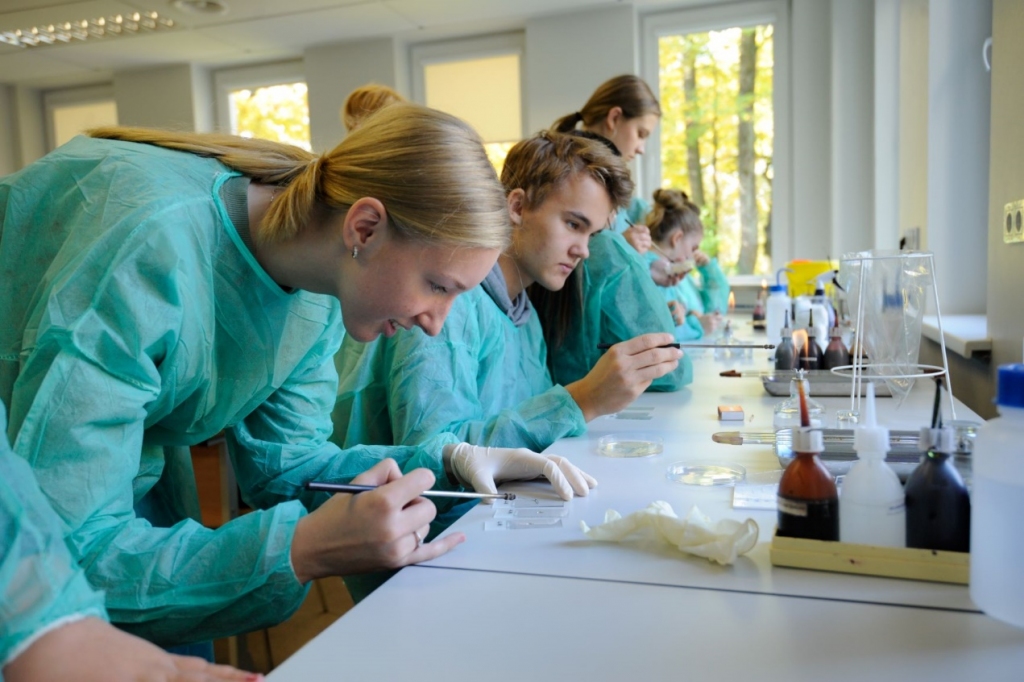 Aluksniesiem.lv raksta attēla aizvietotājs