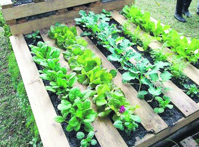 Autors: ALLCREATED.COM