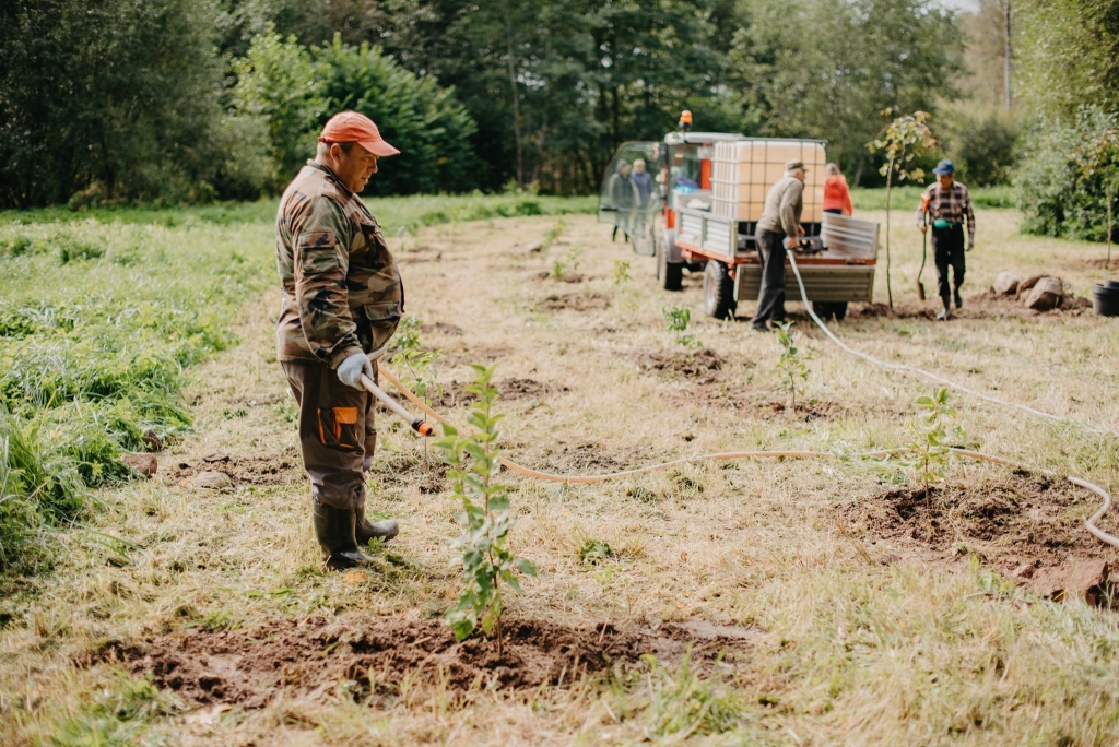 Lai parks pie Jērcēnmuižas būtu zaļāks, parka teritorijā talcinieki iestādīja jaunus koku un krūmu stādus. 
Autors:  ANNIJA RATNIECE 