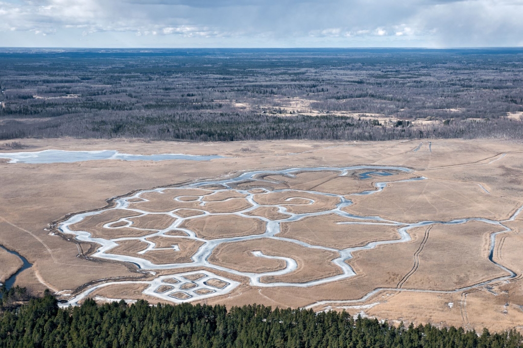 Autors: Latvijas Dabas fonds