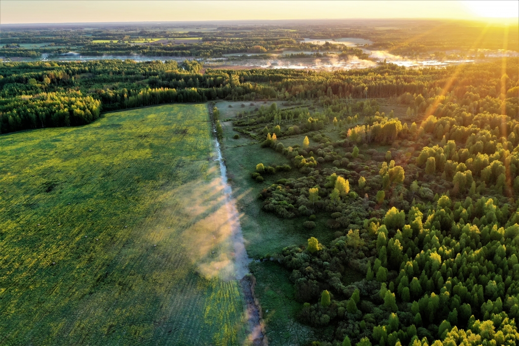 Autors: Rihards Spilva