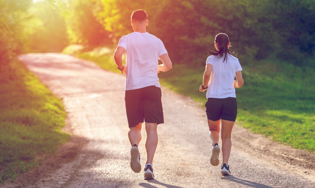 Autors: theconversation.com