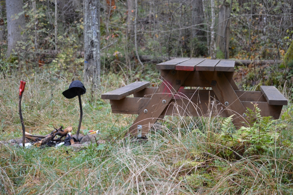 Atpūtas vieta Cērtenes upītes krastā aizaugusi ar garu zāli un piemētāta ar sadzīves atkritumiem, bijušā novada mēra darinātais soliņš salauzts un ievelts upē.                                                                              
Autors:  SANDRA PĒTERSONE