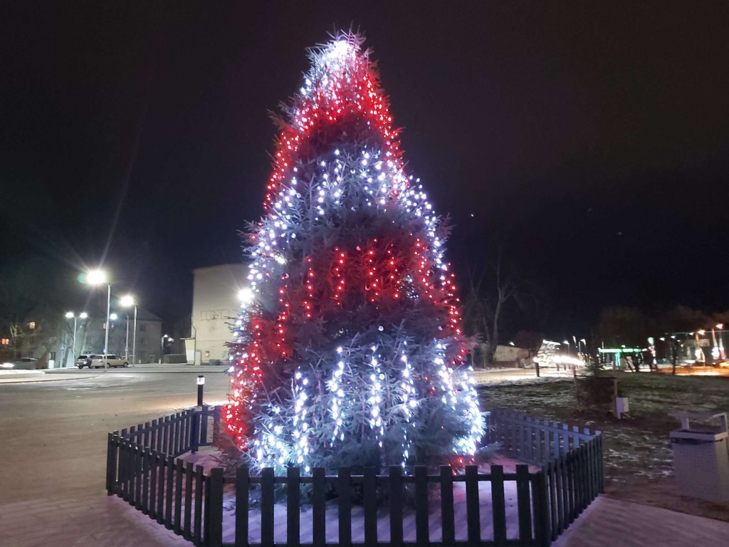 Autors: Ingūna Johansone