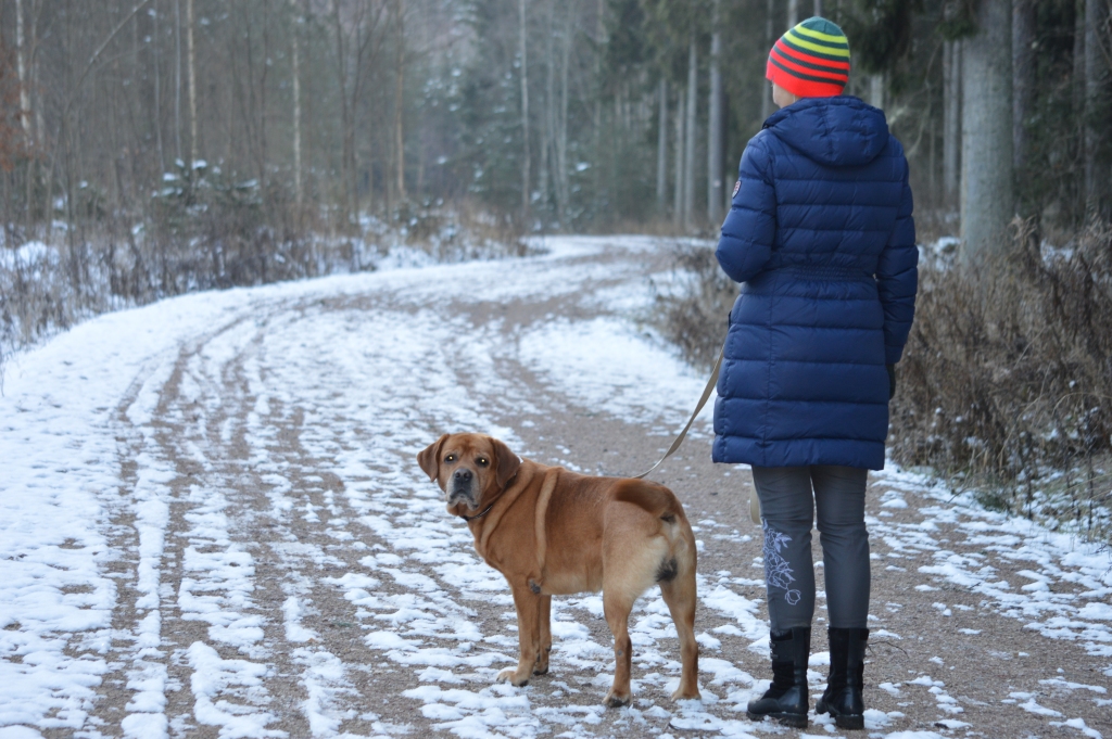 Pašvaldības projekta otrajā kārtā ir paredzēts asfaltēt Trases ceļa apli viena kilometra garumā, kas ir iecienīta aktīvās atpūtas vieta.                                                                          
Autors: SANDRA PĒTERSONE