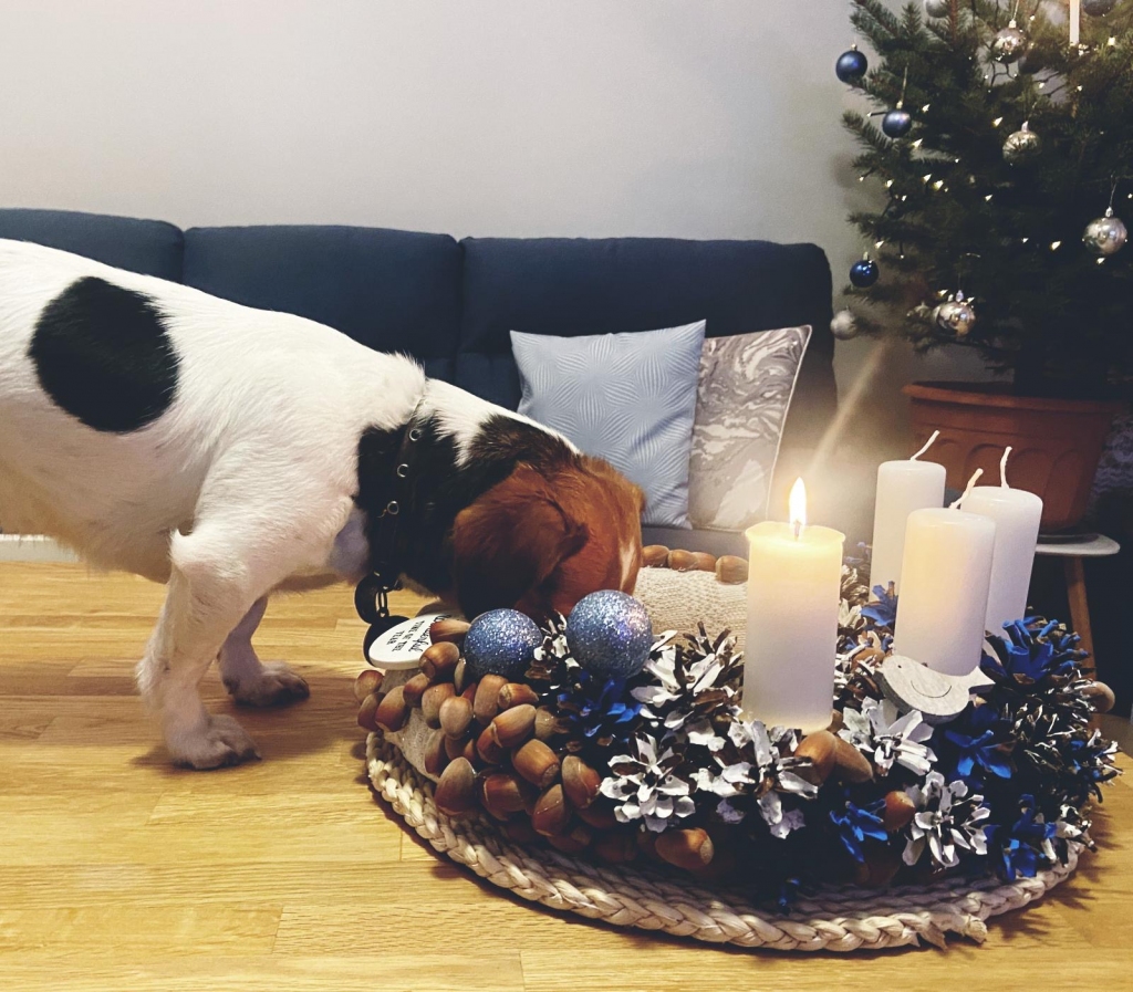VUGD adventes laikā iedzīvotājus mudina īpaši uzmanīt un pieskatīt, lai sveces atrastos bērniem un mājdzīvniekiem nepieejamā vietā.                                                                                                                                                                                        
Autors: VUGD PUBLICITĀTES FOTO