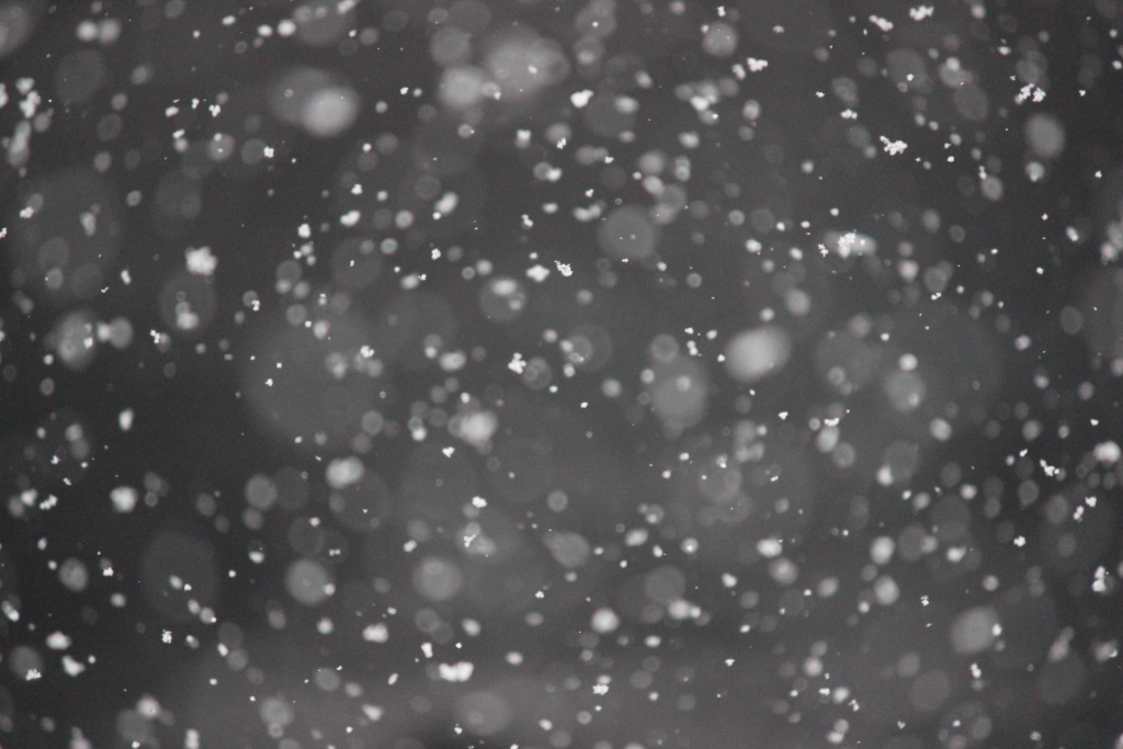 Autors: unsplash.com