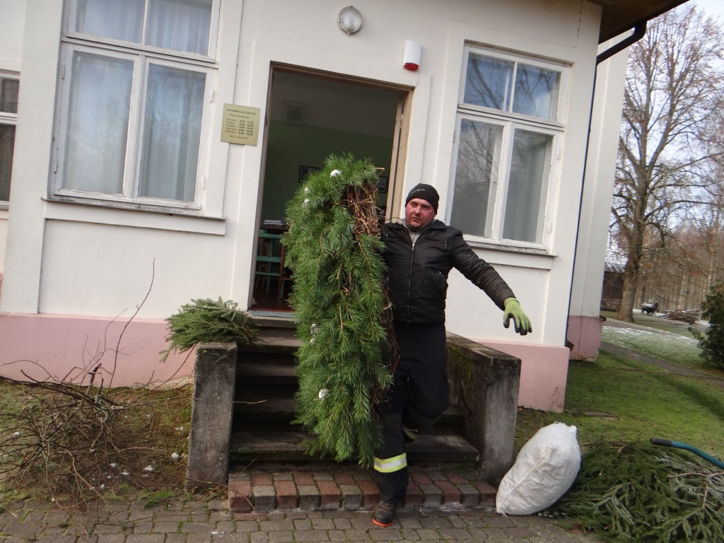 Ar kārķēnieša Kaspara Verovkina un citu palīgu čaklajām rokām Dabas koncertzālei tapis adventes vainags ar svecēm.