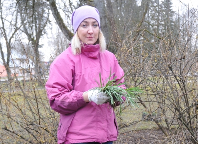 Aizvadītajā sezonā Valkas dārznieces pienākumus pirmo reizi veica valcēniete Aliata Plūksna. Arī viņa ir pieteikusies Valkas novada domes izsludinātajā konkursā uz Pilsētas teritorijas apsaimniekošanas nodaļas labiekārtošanas  darbu vadītāja – dārznieka amatu.                               
Autors: Inga Karpova