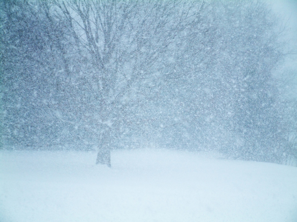 Autors: freeimages.com