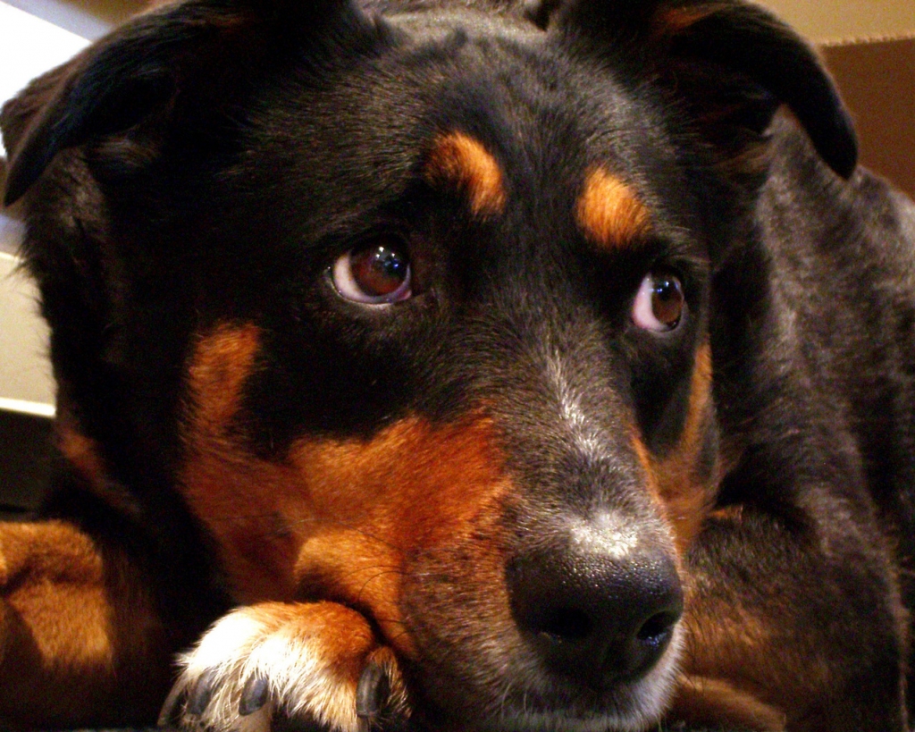 Autors: freeimages.com