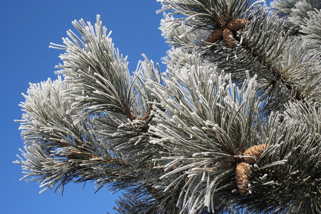 Autors: freeimages.com