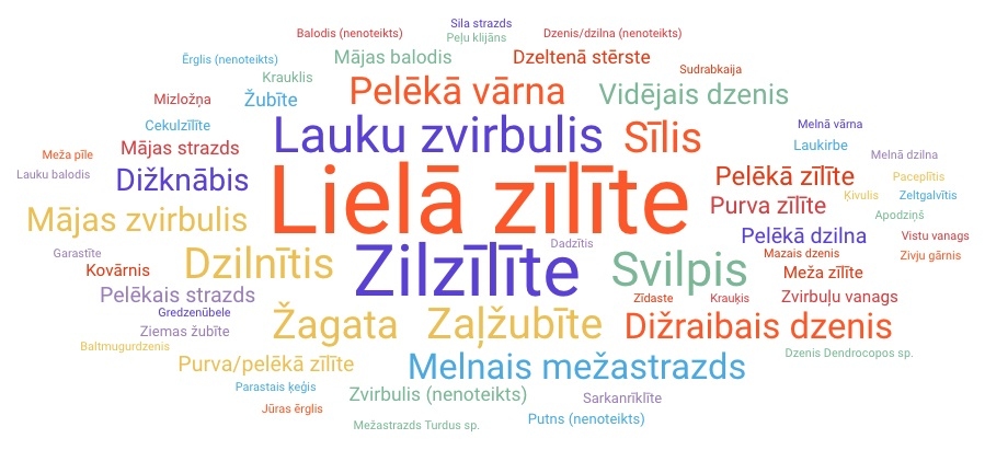 Publicitātes foto