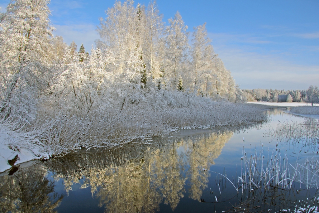 Autors: Marika Eglīte