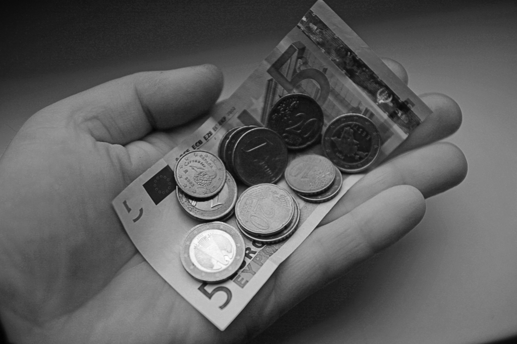 Lai šodien mācītu citus par finansēm, Zanei Loginai pašai bija jāpiedzīvo brīdis, kad nevajadzīgo tēriņu apjoms bija līdzvērtīgs nopelnītajai algai. Tad arī atnāca pārliecība, ka jāattīsta jaunas prasmes. Tās palīdzēja izrauties no “apburtā loka”, kurā nekad “līdz algai nepietiek”.                                                                                             
Autors: no arhīva