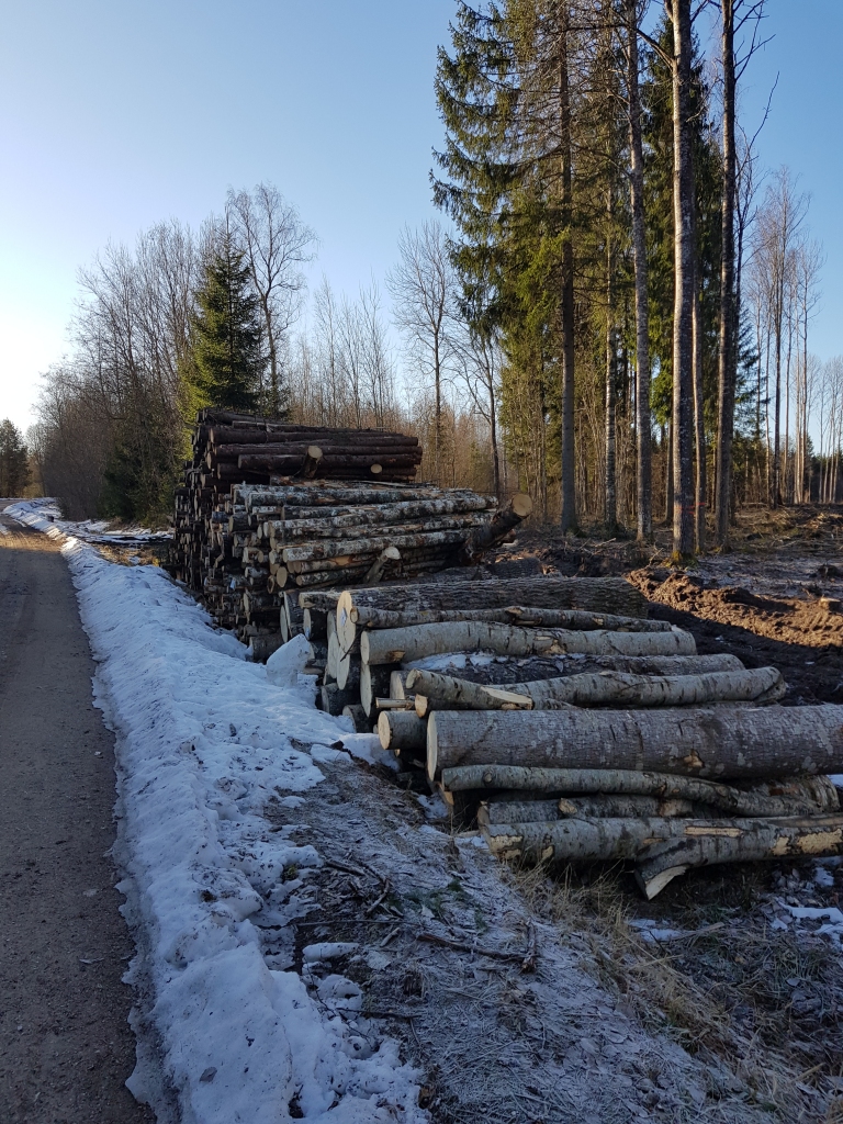 Ne reti, pabeidzot  mežizstrādes darbus, ceļa nomales paliek nesakoptas, tiek atstātas zaru atliekas un koku mizas vai arī krautņu tuvumā (kā šajā gadījumā Smiltenes novadā – attēlā pa kreisi) nav brīdinājuma ceļa zīmju. Vēl problēmu ceļu kopšanā rada ceļiem pārāk tuvu ierīkoti lopu ganību aploki (attēlā pa labi).                                                                                                                                                                                                                      
Autors: SANDRA PĒTERSONE