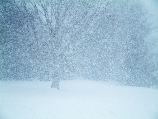 Autors: freeimages.com