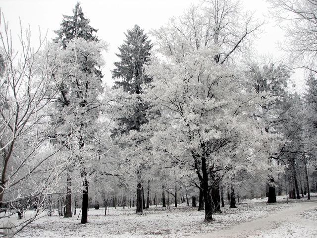 Autors: freeimages.com