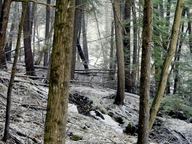 Autors: freeimages.com