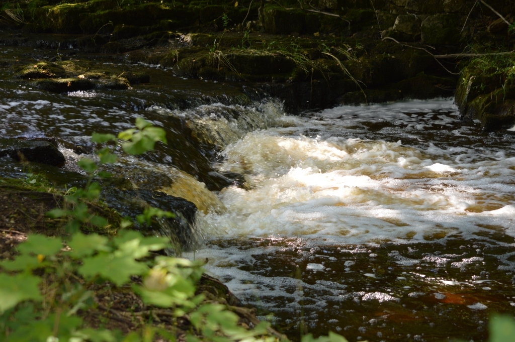 Esot Vidagā, ir vērts  apskatīt Vizlas dabas taku. Vizla ir ar straujtecēm bagātākā upe Ziemeļgaujas apvidū.                                 
Autors: SANDRA PĒTERSONE 
