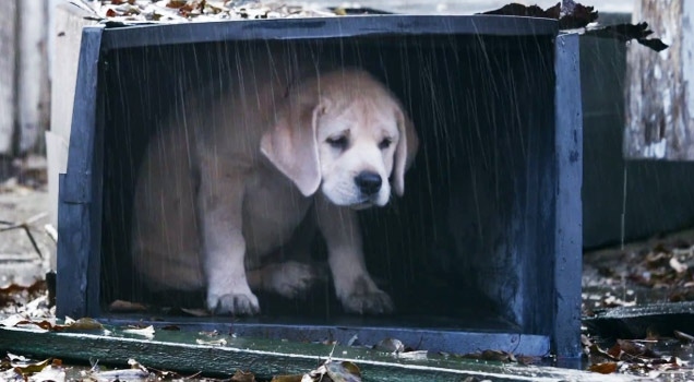 Autors: line.17qq.com