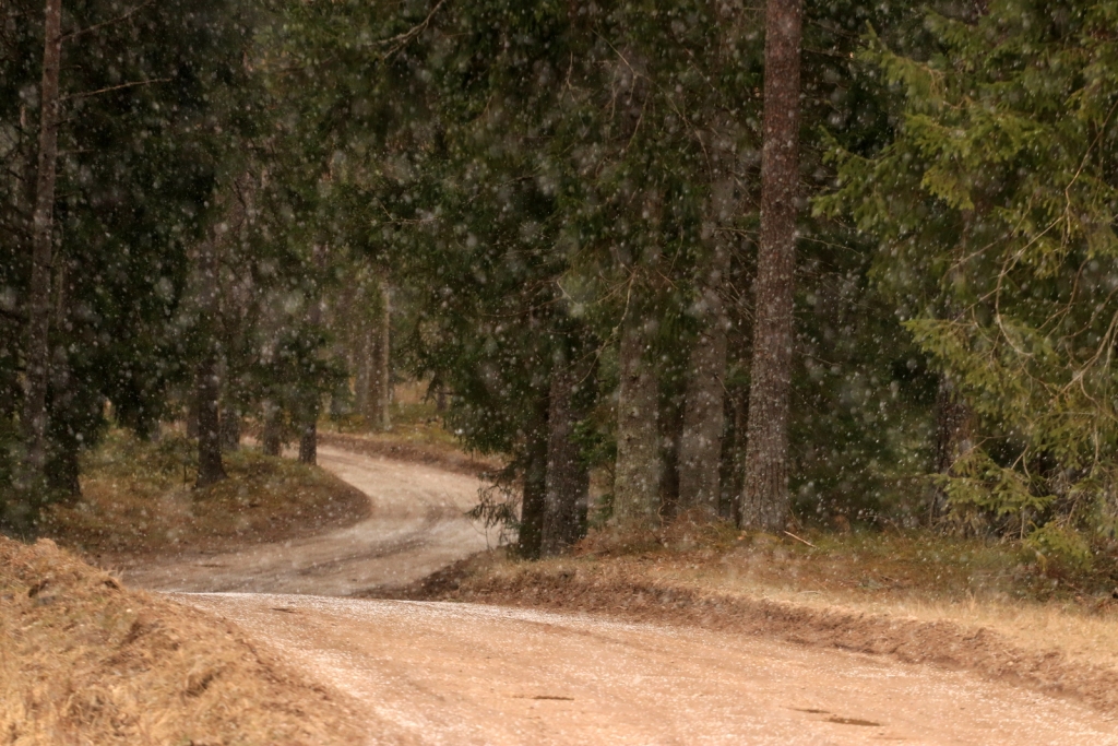 Autors: Santa Paegle