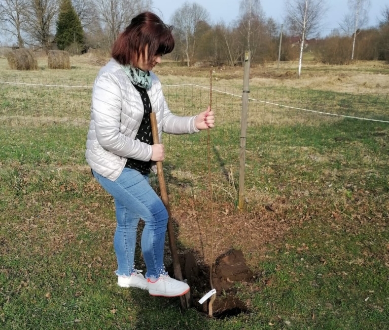 Palsmaniete Santa Millere un viņas ģimene visvairāk priecājās par saņemtajiem augļu koku stādiem.                  
Autors: no personīgā arhīva