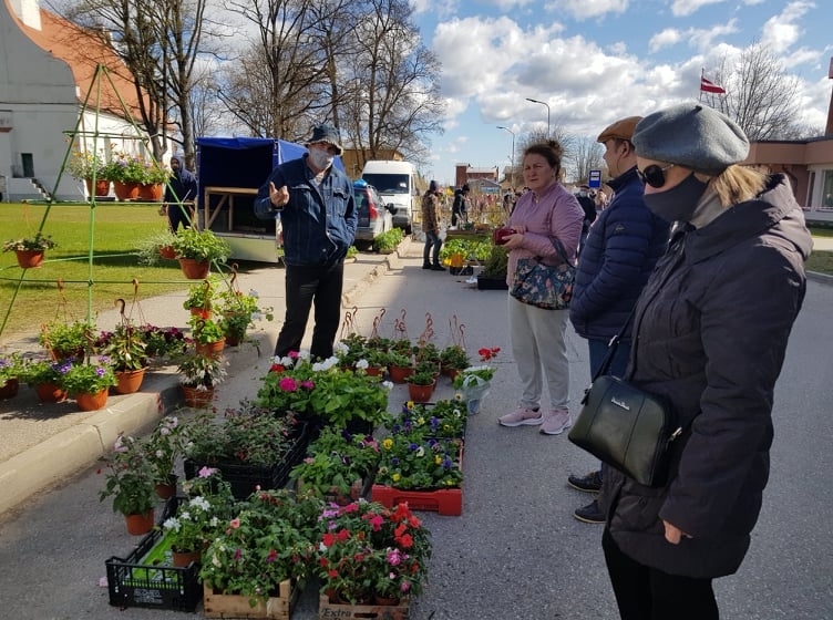 Uz pavasara tirgu Valkā vistālāko ceļu bija mērojis Vilnis Āboliņš no Jēkabpils ar savu atšķirīgo stādu piedāvājumu.