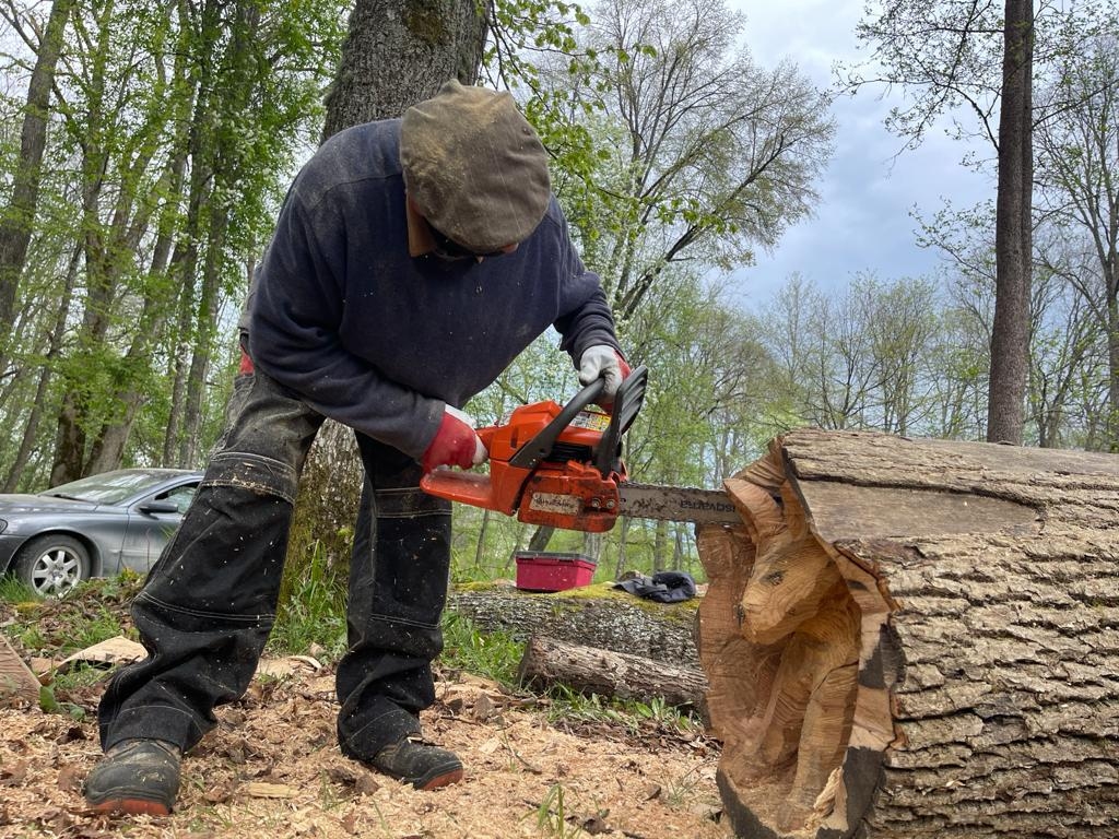 Šogad koka skulptūru izzāģēšanas meistarklasē pandēmijas ierobežojumu dēļ piedalījās tikai četri dalībnieki. Top viena no skulptūrām – lapsēns.                                                                                                             
Autors: STRENČU NOVADA DOME