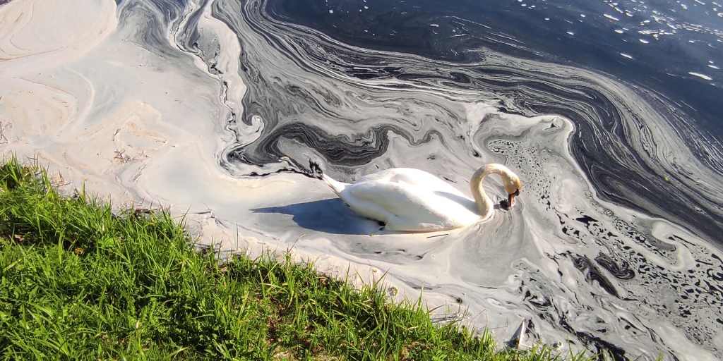 Autors: Ragnars Vutts